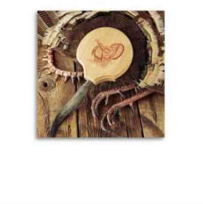 Quaker Turkey Fan Mount